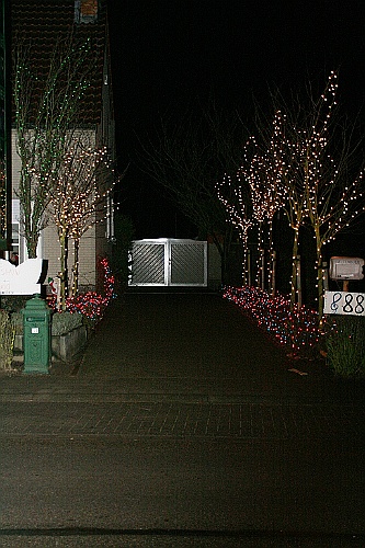 kerststal (43)